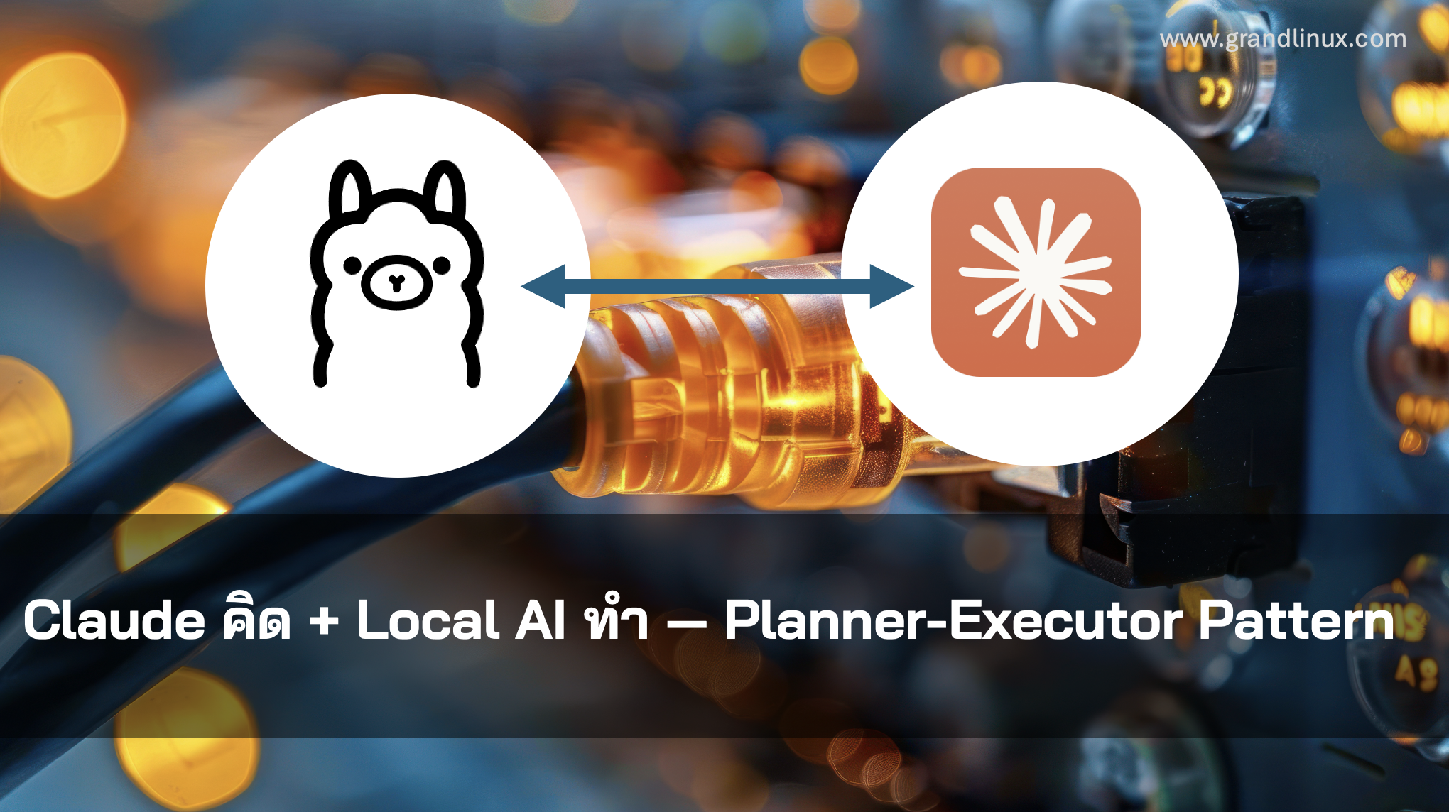 Claude Plans + Local AI Executes — Planner-Executo