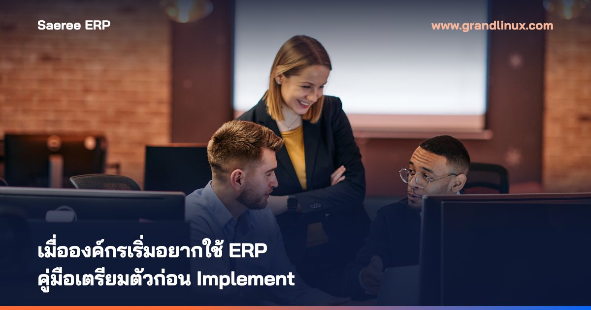 วางแผน Implement ERP