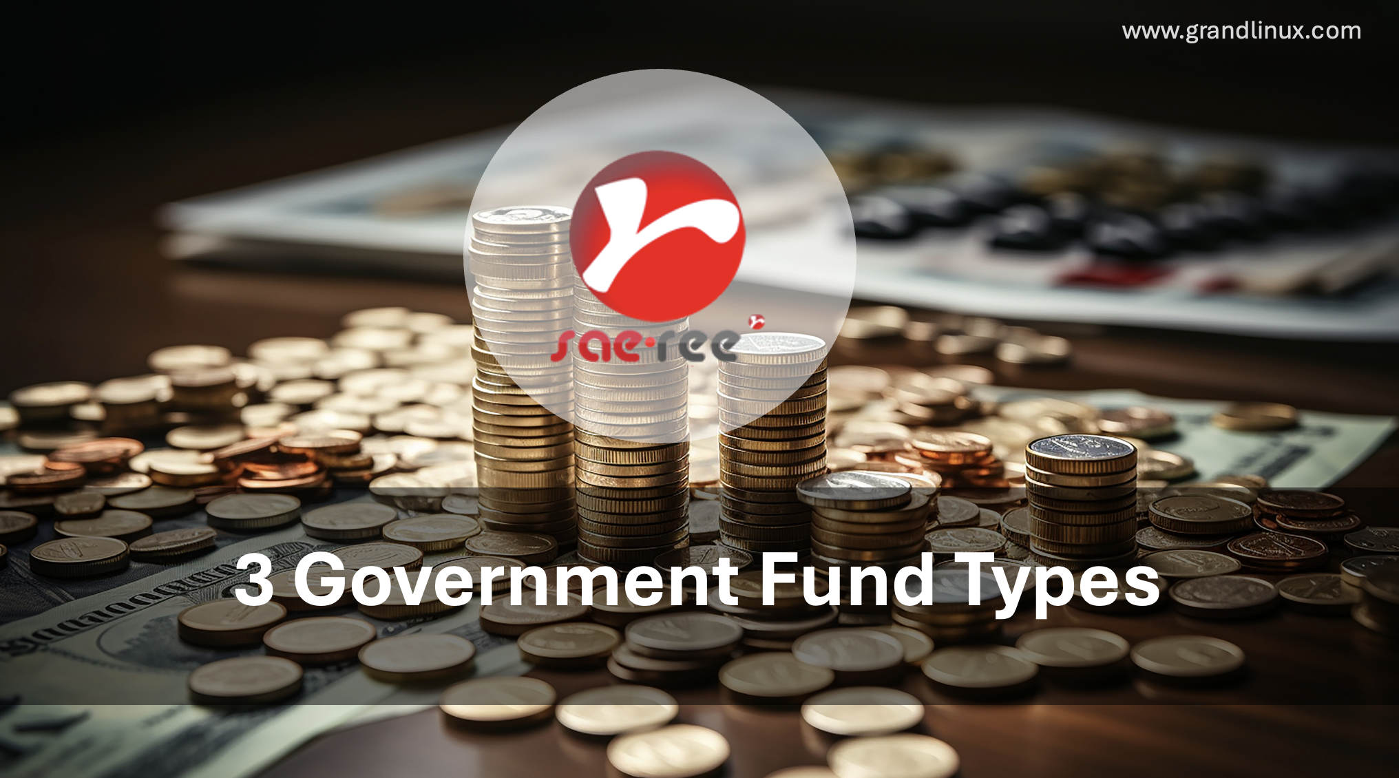 3 Government Fund Types — Budget, Non-Budget, Trea