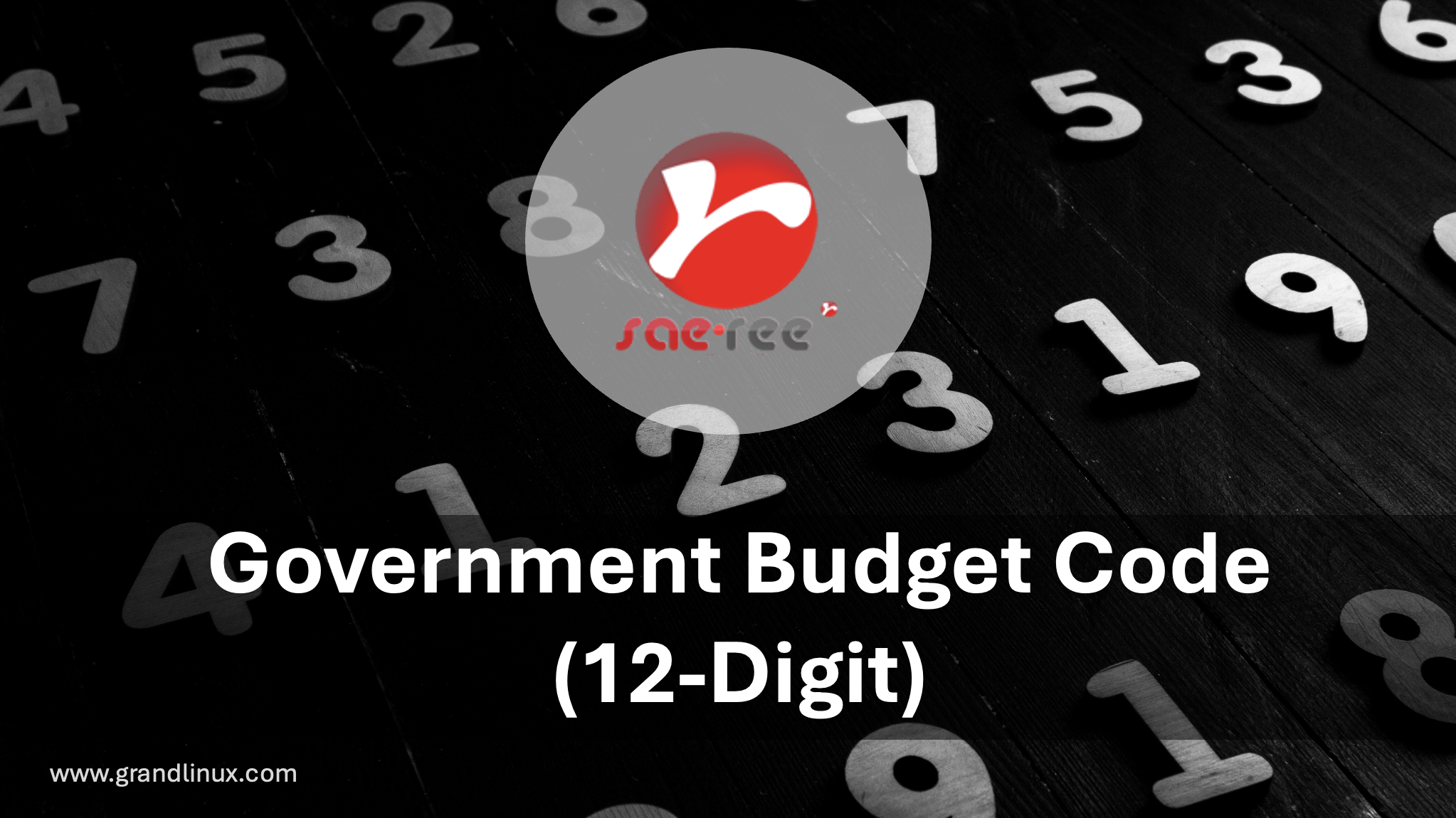 Government Budget Code — The 23-Digit Structure Ev