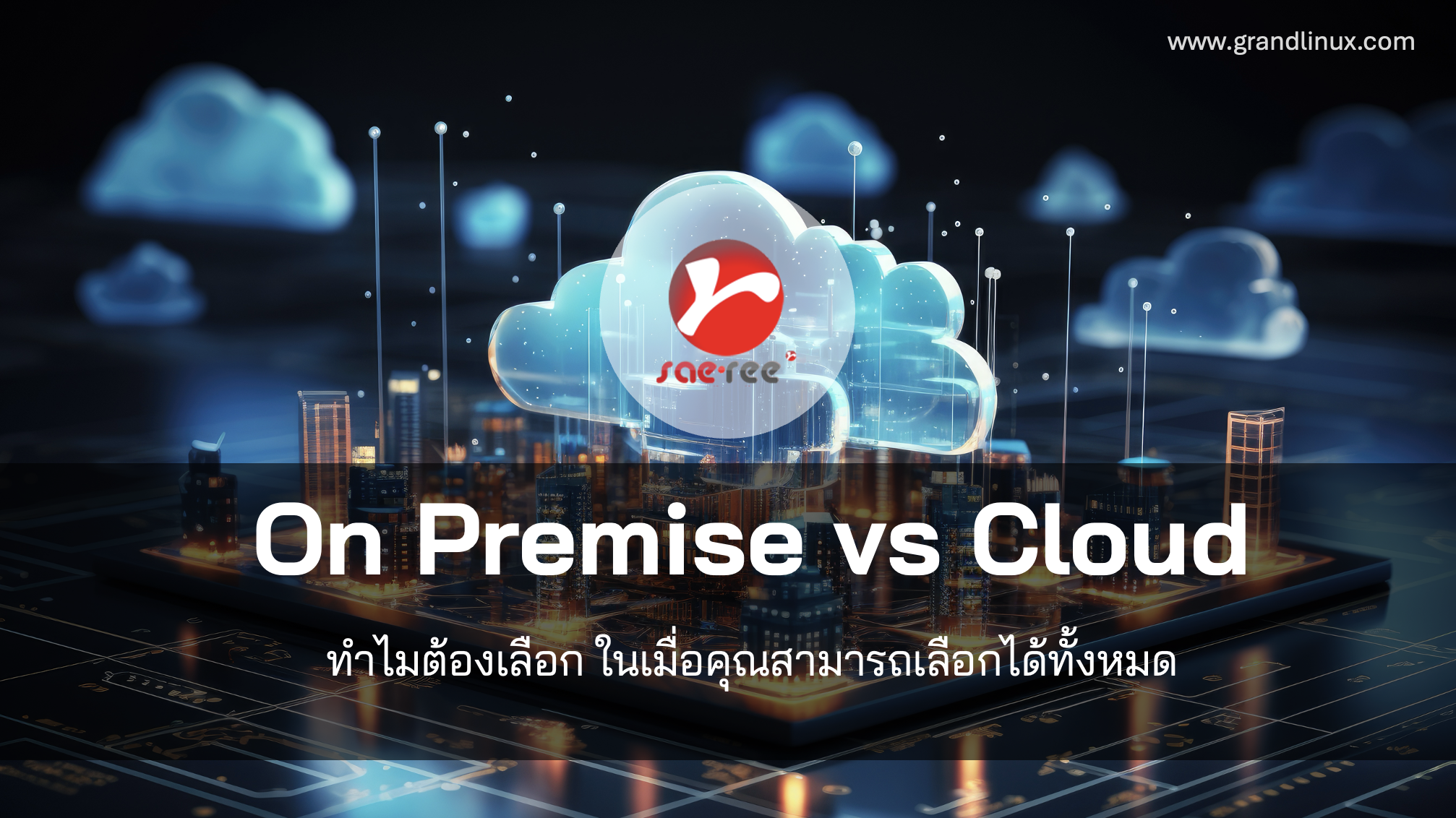 On-Premise vs Cloud why choose when you can have both Saeree ERP