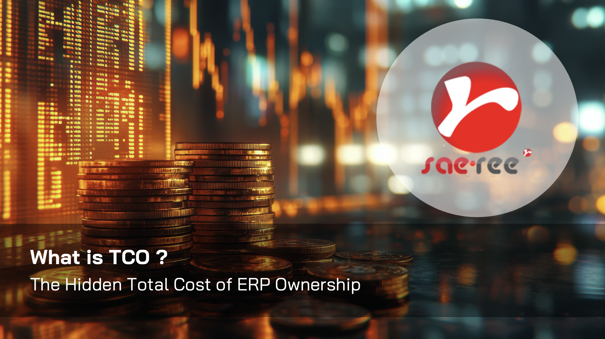 What is TCO? — The Hidden Total Cost of ERP Ownership